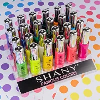 SHANY Nail Art Set (24 Famous Colors Nail Art Polish, Nail Art Decoration)